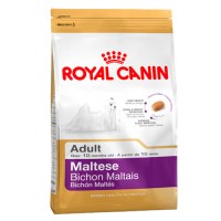 royal-canin-bichon-maltes-mta-6453
